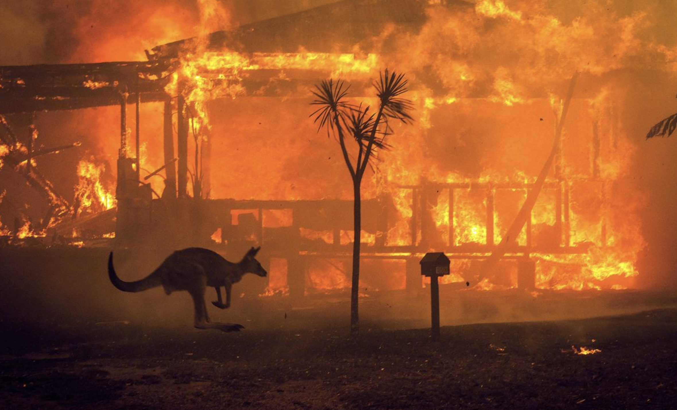 Bushfire Season 2025: The Hidden Risk Lurking Inside Your Home